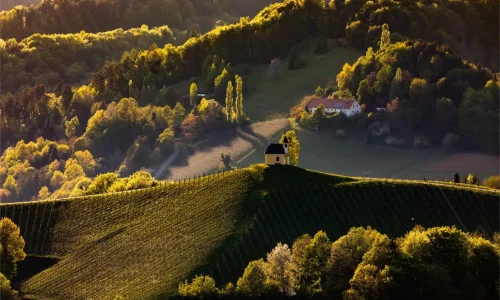 Weinberge Südsteiermark