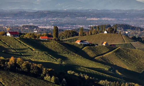 Landschaft Südsteiermark